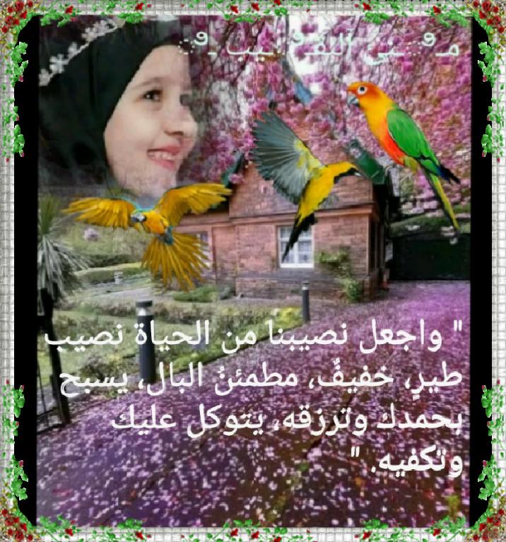آلدگتورهہ مـಿـنئ آلنقـಿـيبಿـ tweet media