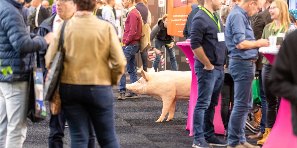 Dutch Pork Expo tweet media