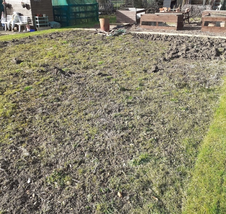 hedges_nicola's tweet image. February to yesterday 💚 #allotment #familyplot #June