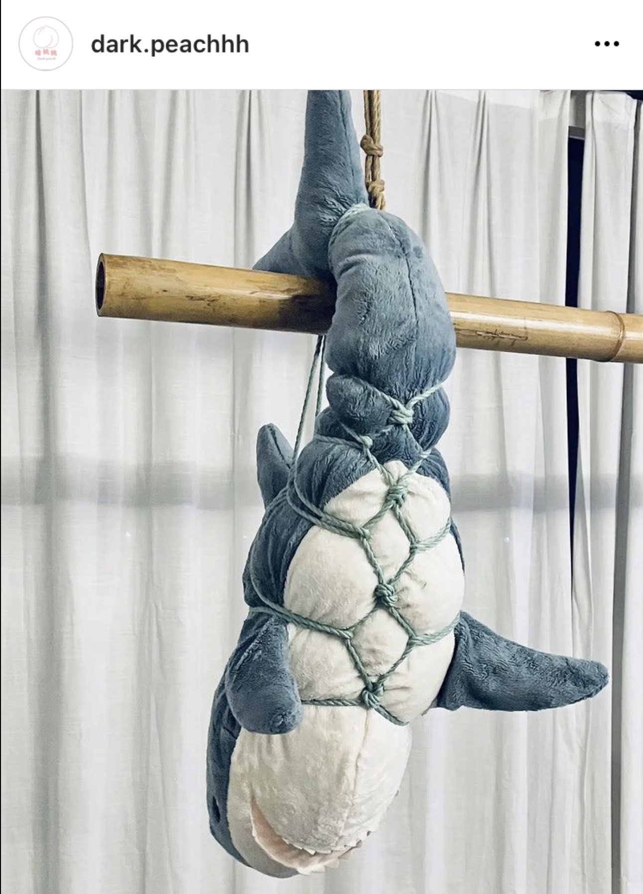 Luna Hill 🌙 (@LunaHillX) / Twitter