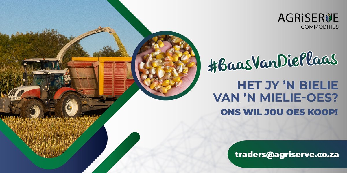 AgriserveC's tweet photo. #BaasVanDiePlaas het jy ’n bielie van ’n mielie-oes? Ons wil jou oes koop! Stuur vir ons ’n e-pos na traders@agriserve.co.za 

#Agriserve #Cropsure #Commodities #Mielies #Graan #Landbou https://t.co/C6BE6o8Xsl