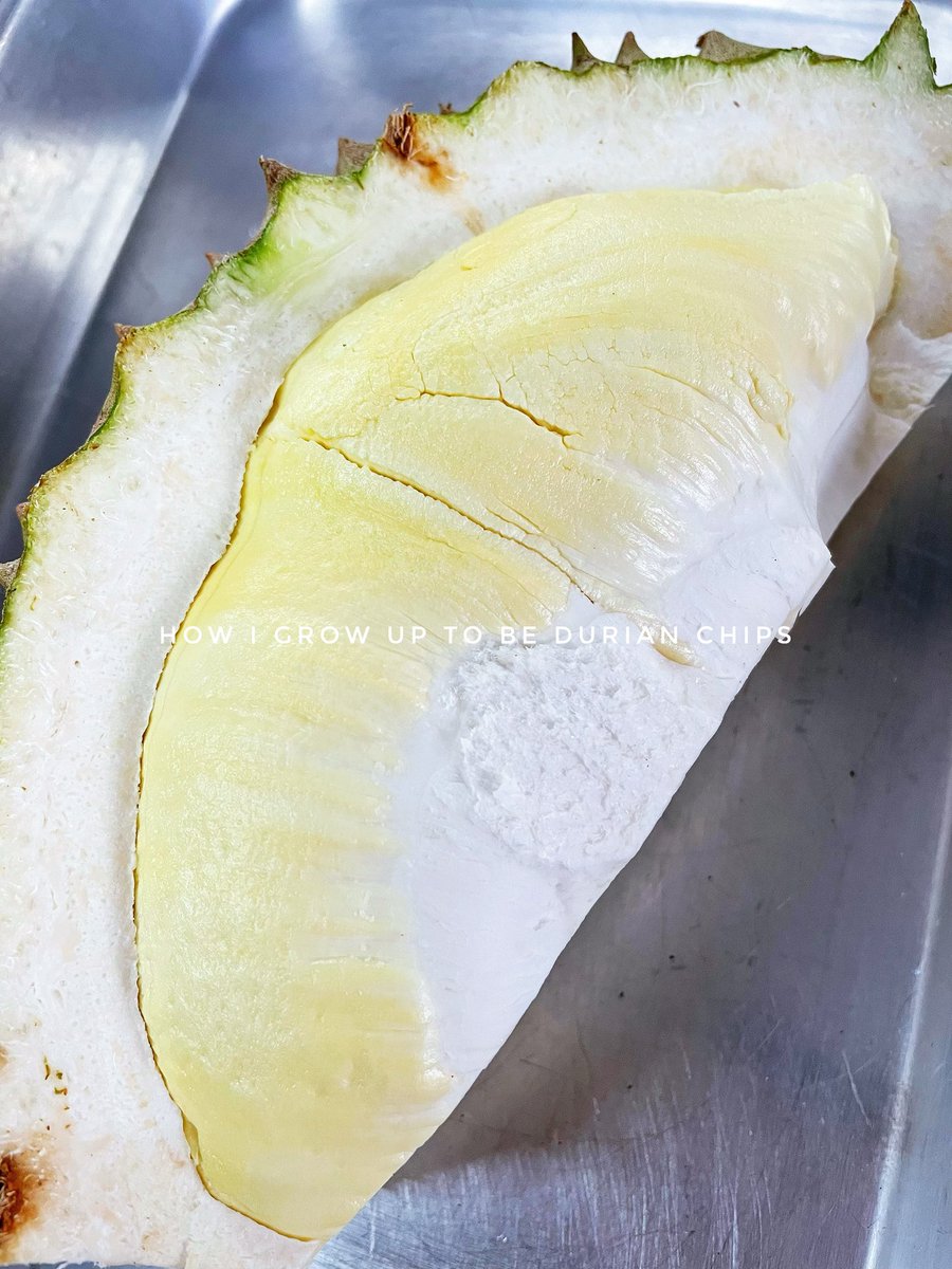 crispyxml's tweet photo. ยิ่งดึกยิ่งหิวว กินมั้ย ทุเรียนทอดของอร่อยย ของใหม่เลยน้า พร้อมส่งพรุ่งนี้เลย
🌷 100 กรัม 150 บาท
#ทุเรียนหมอนทอง #ทุเรียนทอด #ขนุนทอด #ตลาดนัดอ���นไลน์ #อร่อยบอกต่อ #ขุนทอดอบกรอบ  #ทุเรียนทอด #ทุเรียน #อร่อยไปแดก https://t.co/fh7N2um9Rw