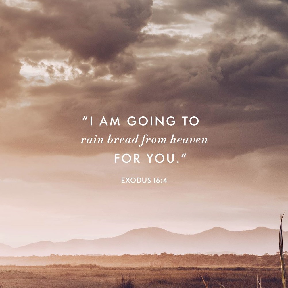 redeemerccMNL's tweet photo. We will again gather online tonight for our weekly Bible study on the book of Exodus. We are now in chapter 16.

We meet at 8PM over ZOOM, so DM us if you want to join. https://t.co/UdVac9LwIC