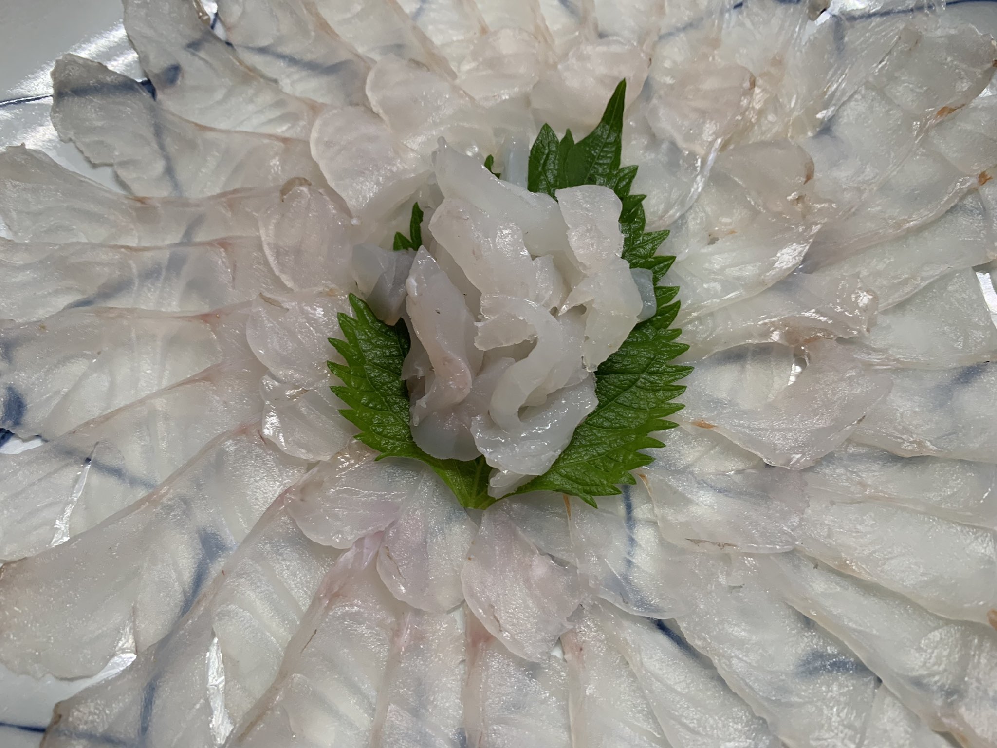 تويتر 民宿 いすゞはま荘 على تويتر 釣りのお客様の釣魚料理です ウッカリカサゴ アヤメカサゴは 刺身 アカハタ アヤメカサゴは 煮付け ノコギリダイは バター焼き ブリハタは 塩ダレ和え アカハタは 弁当のフライ 釣魚料理遠慮なくお申し付け下さい