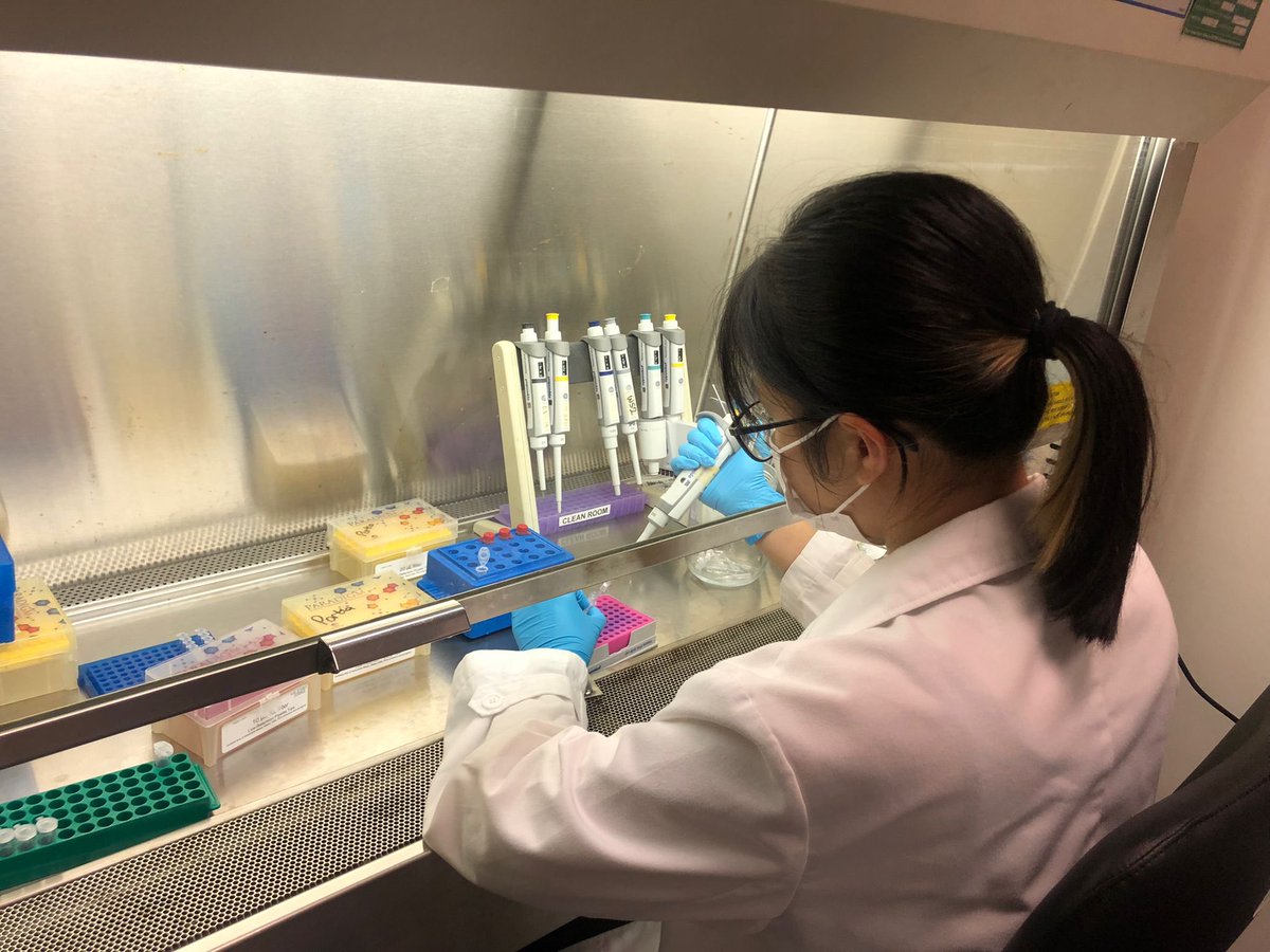 biotia99's tweet photo. first day of library prep for my first chapter!! finally back in the lab for some intense pipetting action🥵 https://t.co/mnmNbJbfTM