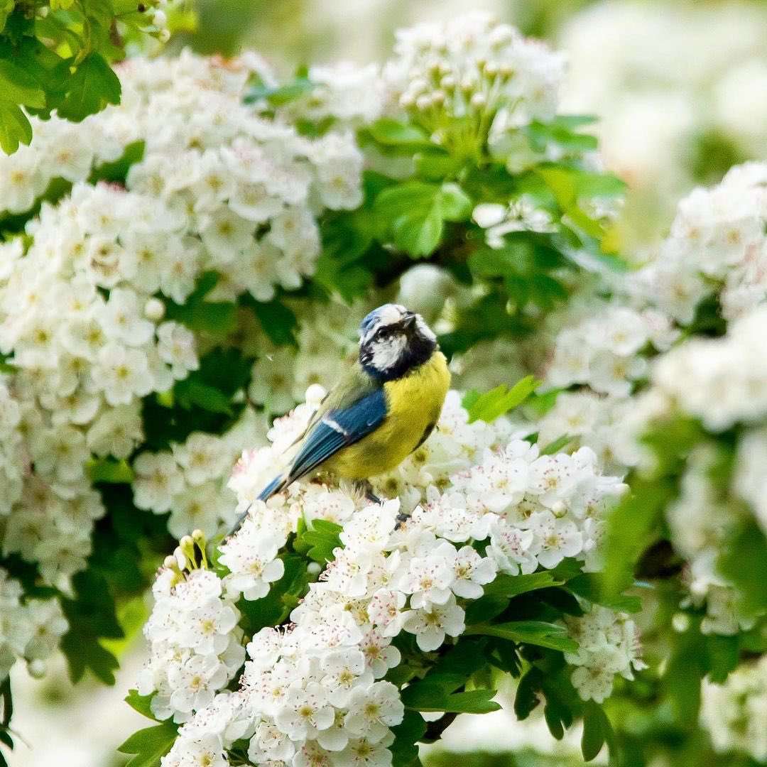 Igerscoventry tweet media