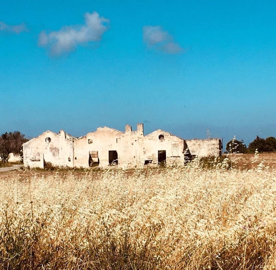 lun_81's tweet photo. Waiting for summer
#summer #apulia #almostjune https://t.co/X1LOWX1eIA