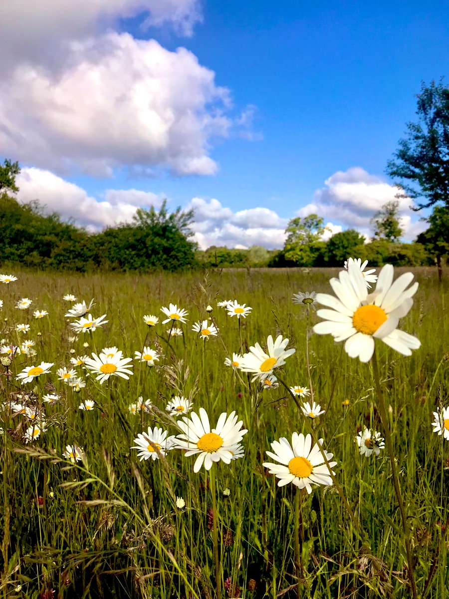 Happy Wednesday/Friday/June!
It’s a beautiful morning here ☀️
Have lovely day and a great holiday weekend  whatever you’re doing 💙