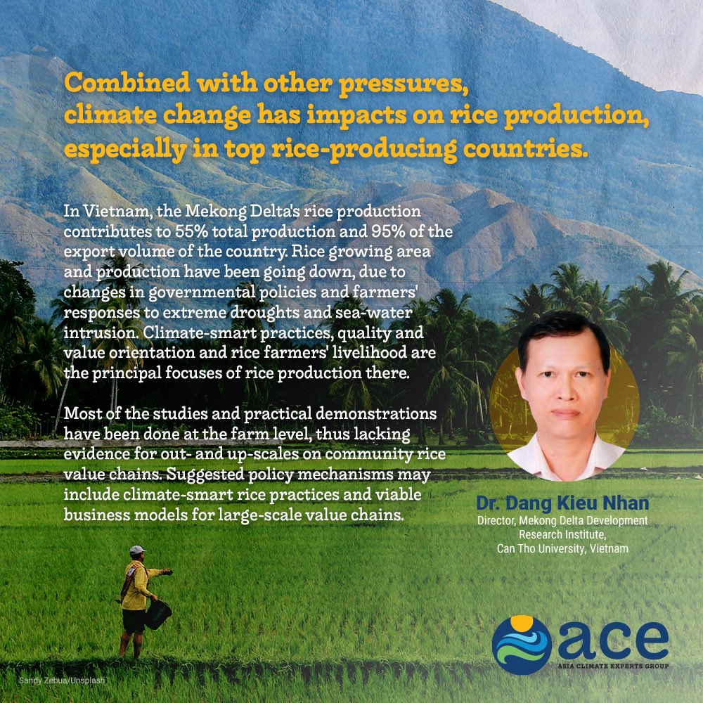 icsc_ph's tweet photo. Here's another key quote from the #ACE webinar last May 23 in line with #AR6 @IPCC_CH report.
Dr. Dang Kieu Nhan from Can Tho University Vietnam tells us how the climate crisis will affect rice production. Learn more: https://t.co/5ZR4JwqplY https://t.co/FwO2sEw0qR