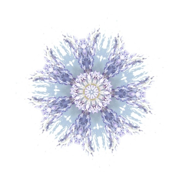 Art should be something that liberates your soul and mind, and help you to find your internal peace 🦚

Hope my art makes your day brighter 🌻🌸

0.004 $eth

opensea.io/collection/amb… 

#NFTCommunity #NFTProject #NFTs #artwork #cryptoart #OpenSeaNFT #Polygon #love