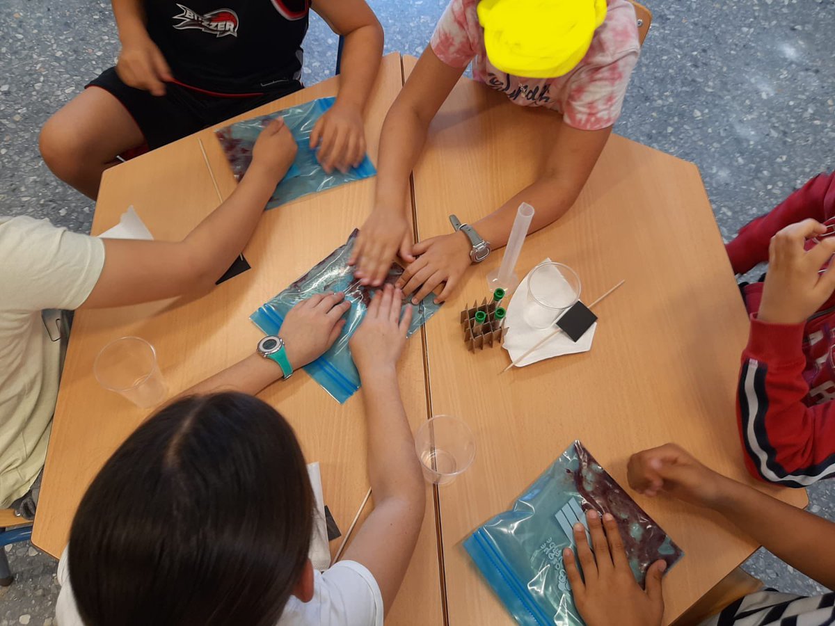 Centro Andaluz de Biología del Desarrollo tweet media