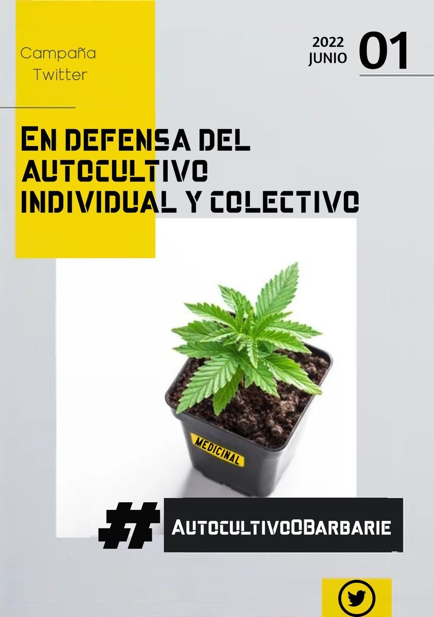 Una ley del #cannabismedicinal sin #autocultivo individual y colectivo nace muerta y desactualizada
La sociedad española merece una ley moderna
#AutocultivoOBarbarie 
#OligopolioNoAutocultivoSi