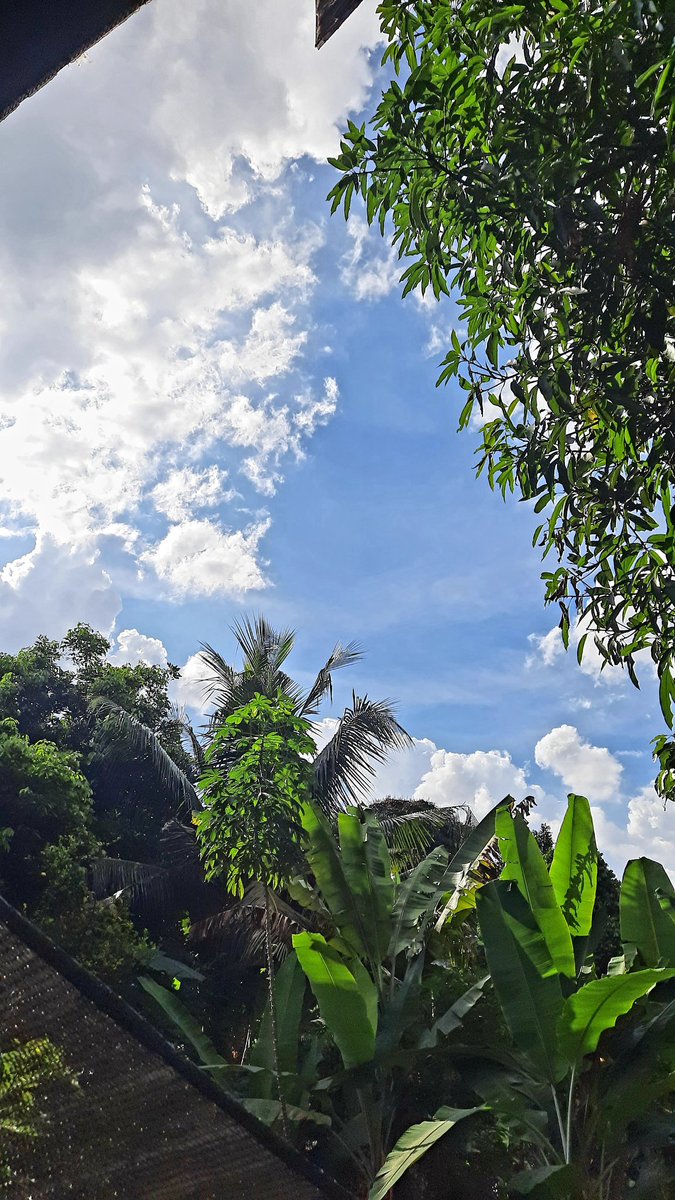 neryaprima's tweet photo. celebrate my 4th yrs.
Life is good now, but the best is yet to come. 

📷 view fr Mom's terrace https://t.co/0mmnnSGpHT