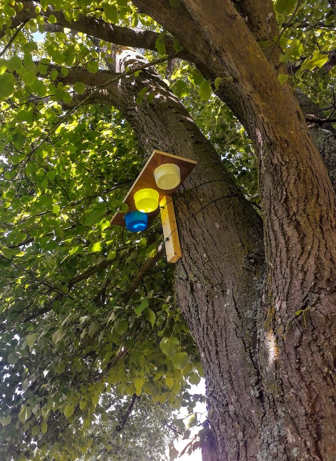 CoolTreeProject's tweet image. #Kickoff of our 2022 #CoolTree summer fieldwork

✅Started with #large #solitary #trees in Belgium 🇧🇪

We scan the trees #LiDAR, quantify #biodiversity (plants, lichens, arthropods with pan traps...) and assess ecosystem functions (#microclimate, #carbon, #nutrients...)