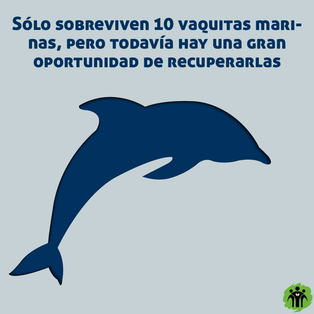 Don Bosco Green Alliance - ES tweet media