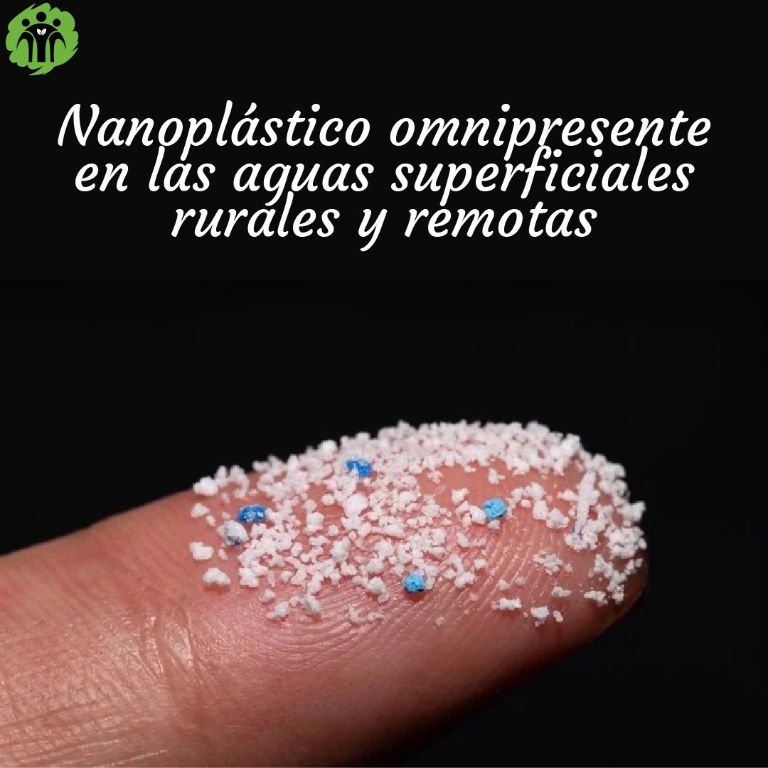 Don Bosco Green Alliance - ES tweet media