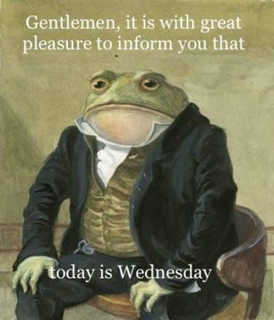 NekoRanser's tweet photo. It's again Wednesday https://t.co/5kUmSARJsN