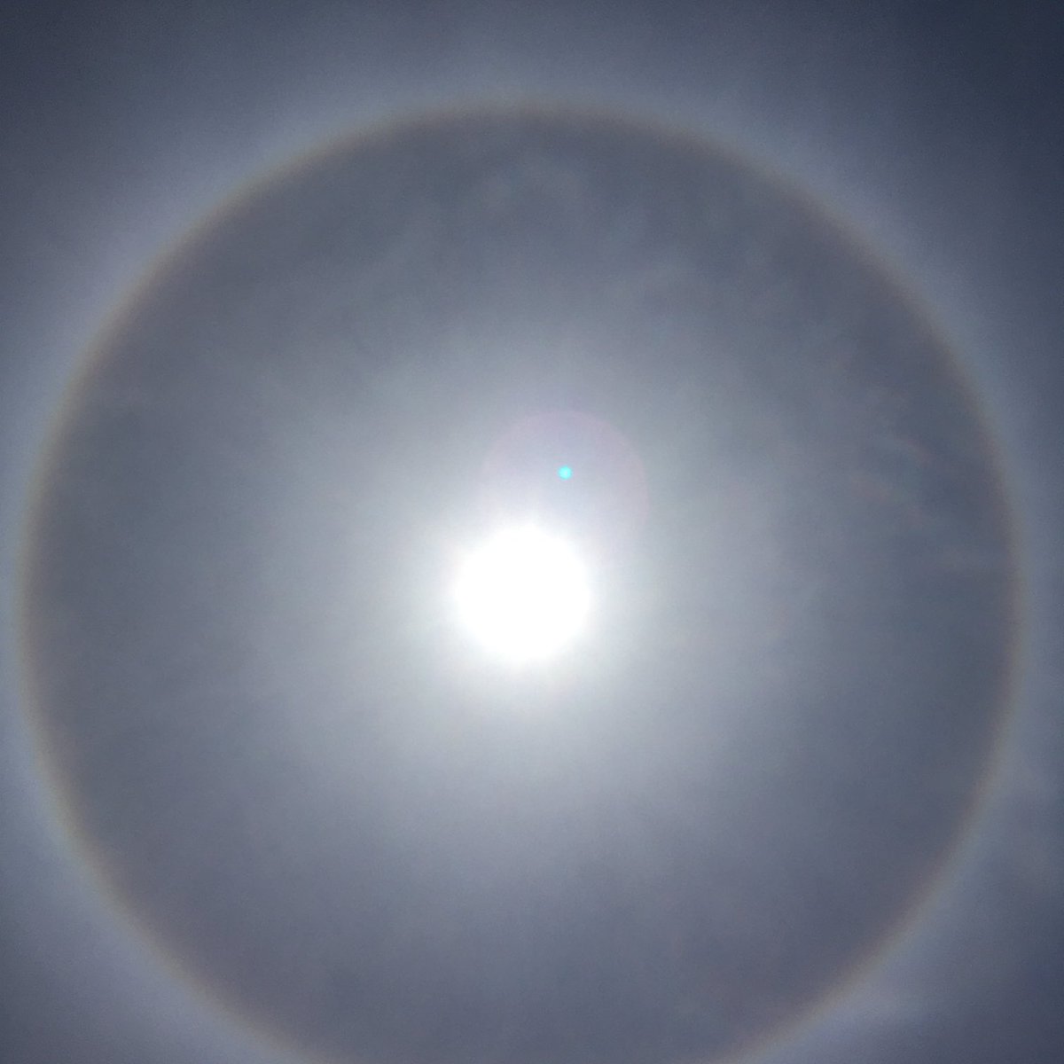 4Org89's tweet image. 