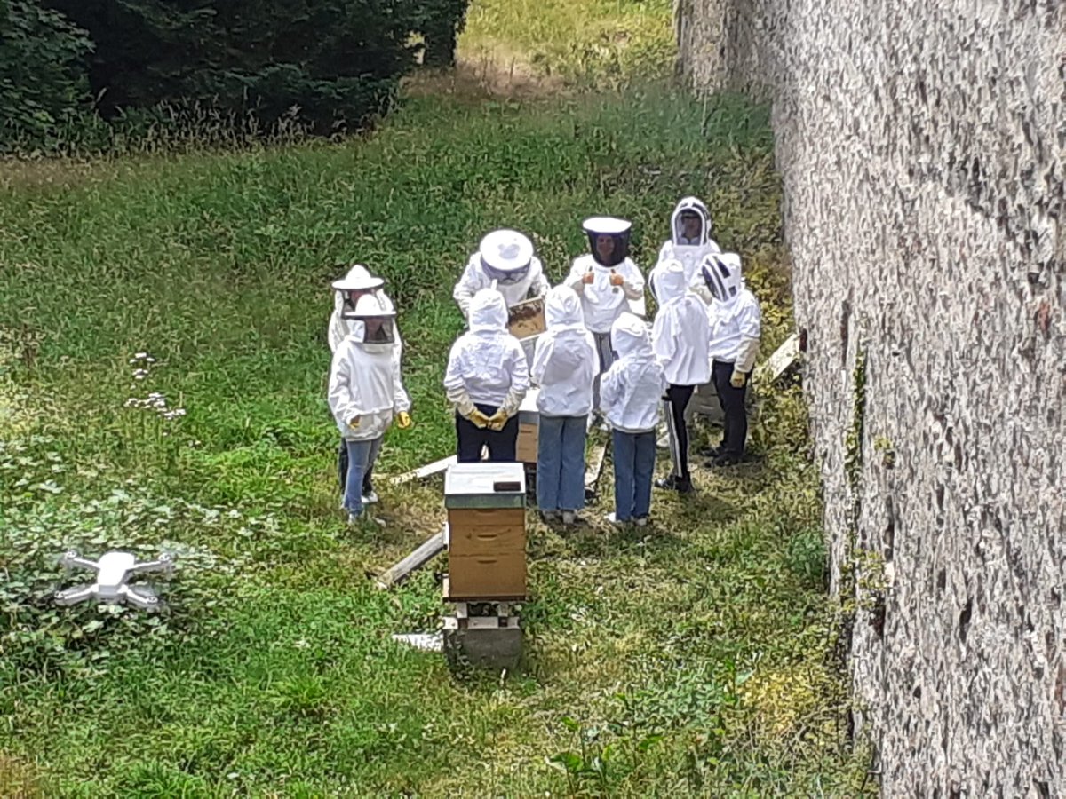 LRibeaupierre's tweet photo. Magnifique journée consacrée à la biodiversité entre conférence et ateliers...des élèves du collège et de l'école ont pu profiter de ce moment. Merci aux partenaires.@SeaShepherdFran @LPOFrance #SNA @Ribeauville68 @Le_Museum #Ribolab @acstrasbourg @LRibeaupierre @DavlcStrasbourg https://t.co/2eYit8ECgG