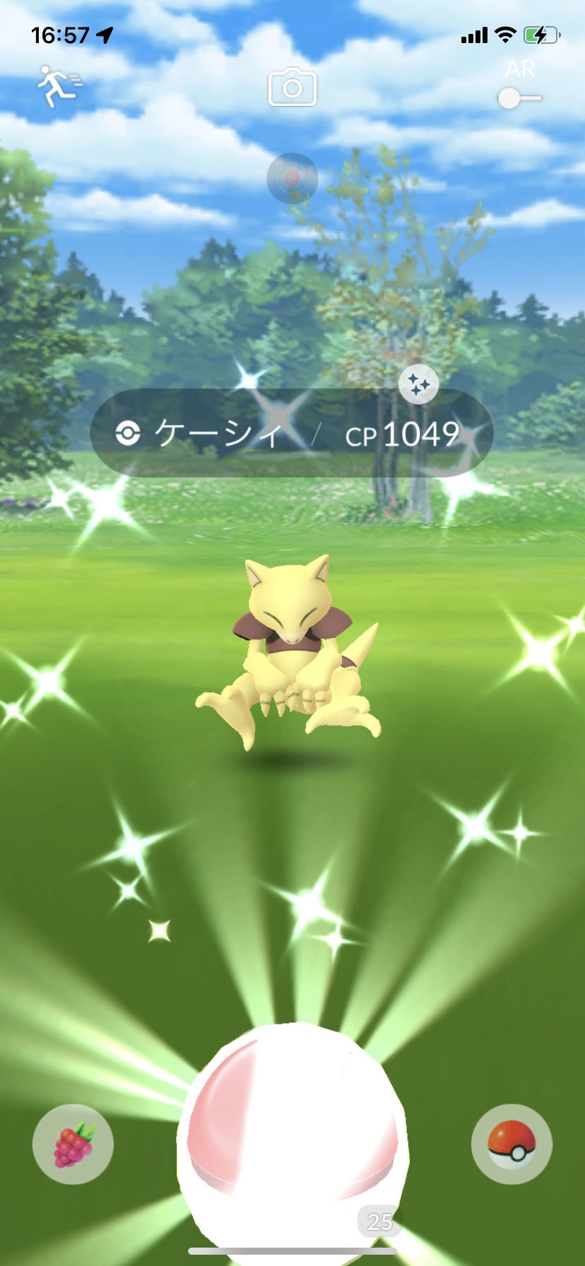 ケーシィ色違い Twitter Search Twitter