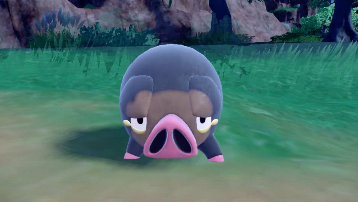 IGN's tweet image. BREAKING: THERE&apos;S A NEW PIG POKÉMON NAMED LECHONK!
