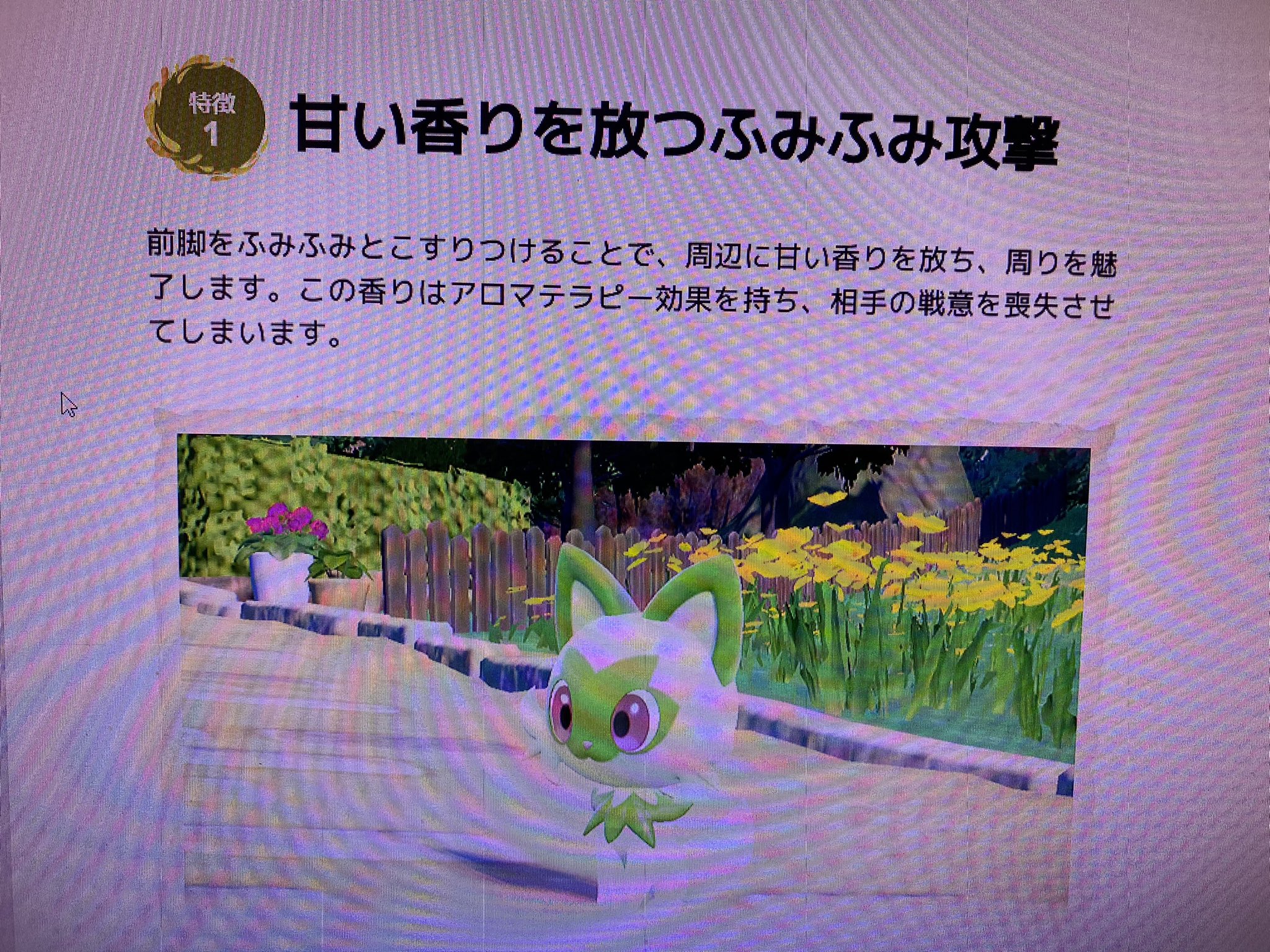 かおるん るんかおちゃんねる 甘い香りを放つふみふみ攻撃 ポケモンsv T Co Lsxjkyfqxh Twitter