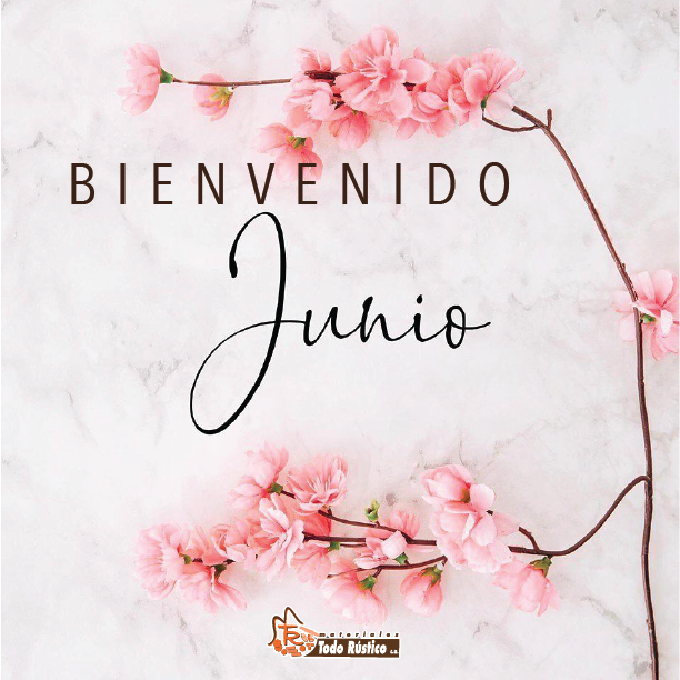 TODORUSTICO's tweet photo. Que Junio nos sorprenda con muchas bendiciones. Siempre con energía positiva, tendrás resultados positivos. 
⚠️¡APROVECHA NUESTRAS OFERTAS! ⚠️ https://t.co/VMYbHt1hYc