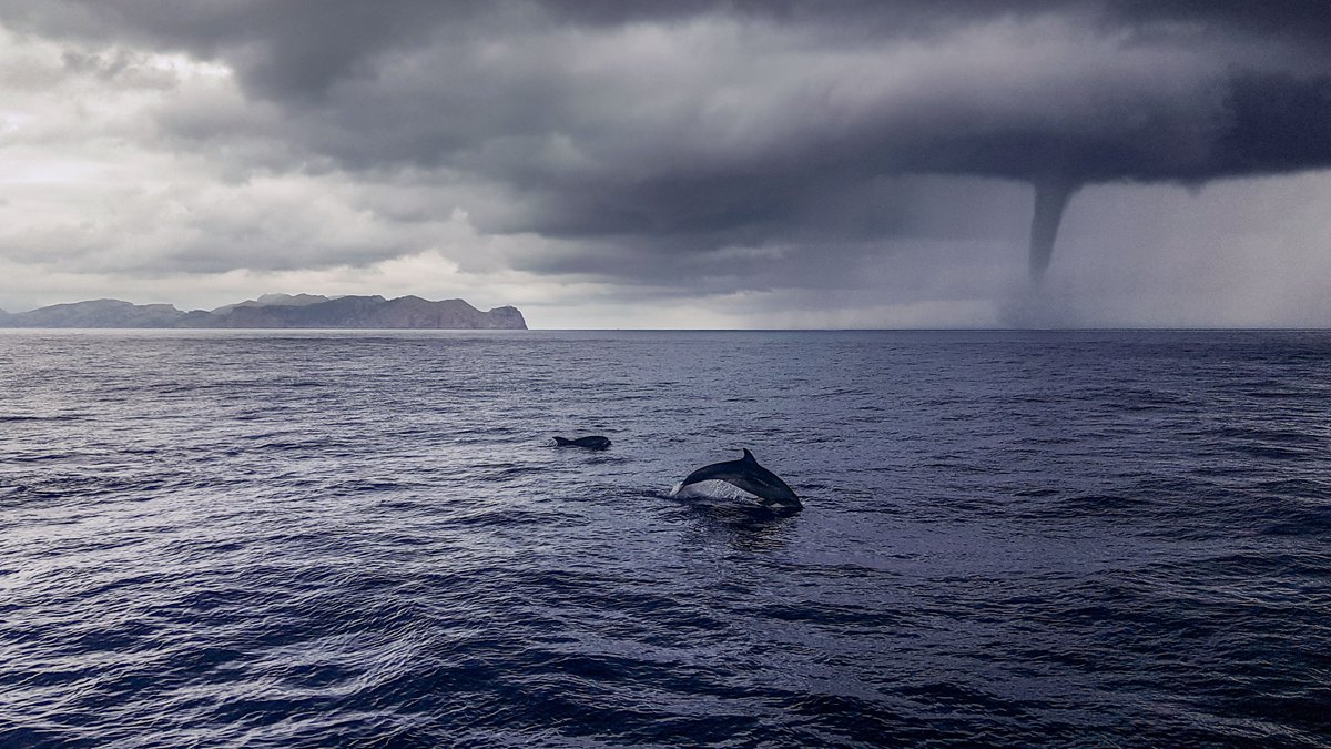 WMO's tweet photo. The #Cover photo for June is from the 2022 WMO Calendar! 'Wind and Water' was photographed by Sébastien Baille (France) in Alcudia bay, Mallorca, Balearic Islands, Spain.
📸 @SebastienBaille 

#JunePhoto #2022 #CalendarPhoto #WMOCalendarCompetition https://t.co/yeGxvil86x