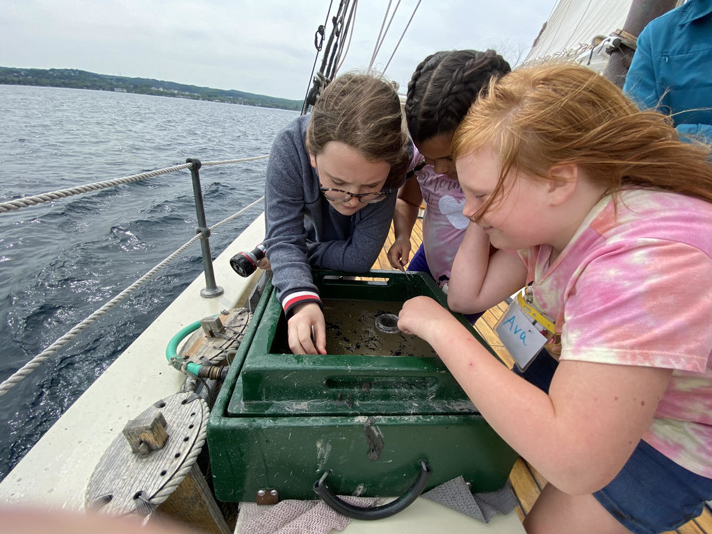 MesickSchools's tweet photo. Mrs. Shermak's 4th grade class on their Inland Seas field trip yesterday.  Mr. Mumby's class is going today.  This is such a fun learning experience.  Thanks to Mrs. Shermak and Mr. Mumby for organizing this for our kids. https://t.co/R8QZnekMcM