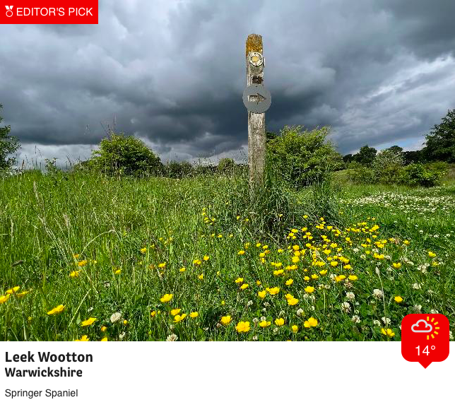 bbcweather's tweet photo. Today marks the start of meteorological summer and it's a mixed picture as shown by our Weather Watchers... https://t.co/tzogkoh6CR