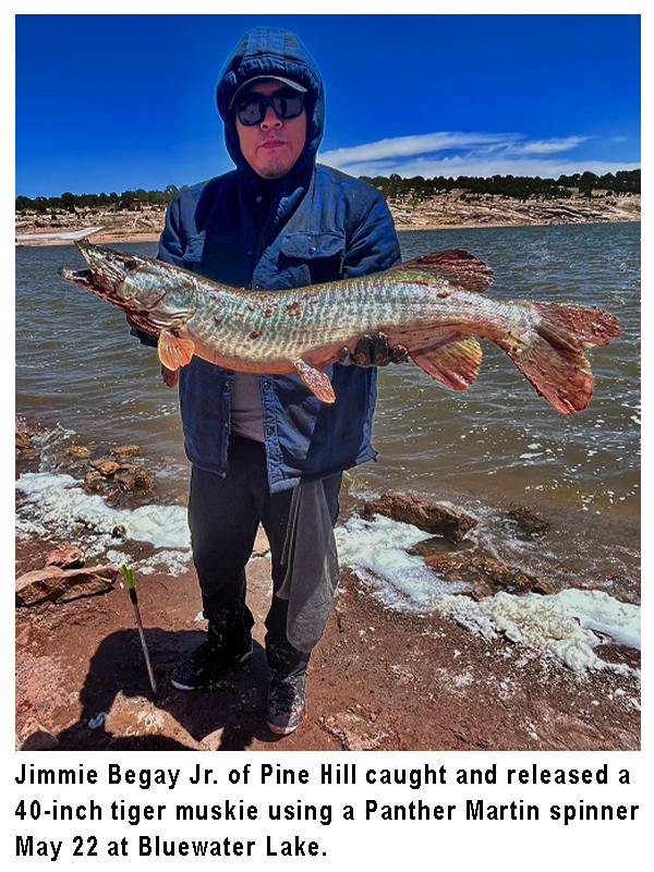 NMDGF's tweet photo. This #fishingreport, provided by Dustin Berg of Go Unlimited (supporting disabled anglers) and the @NMDGF, has been generated from the best information available from area officers and anglers. #fishnm #nmfishingandstockingreport #wildnm
https://t.co/iBUhewq0vQ https://t.co/mNIdIYTbOX