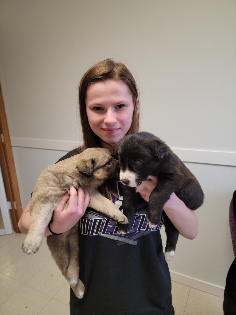 GraettingerD's tweet photo. "Animal Advocacy" enjoyed a morning this week learning about a variety of exotic pets at Pets Plus in Spencer. They also spent an afternoon socializing animals at the Humane Society! https://t.co/cnFhX85rmY