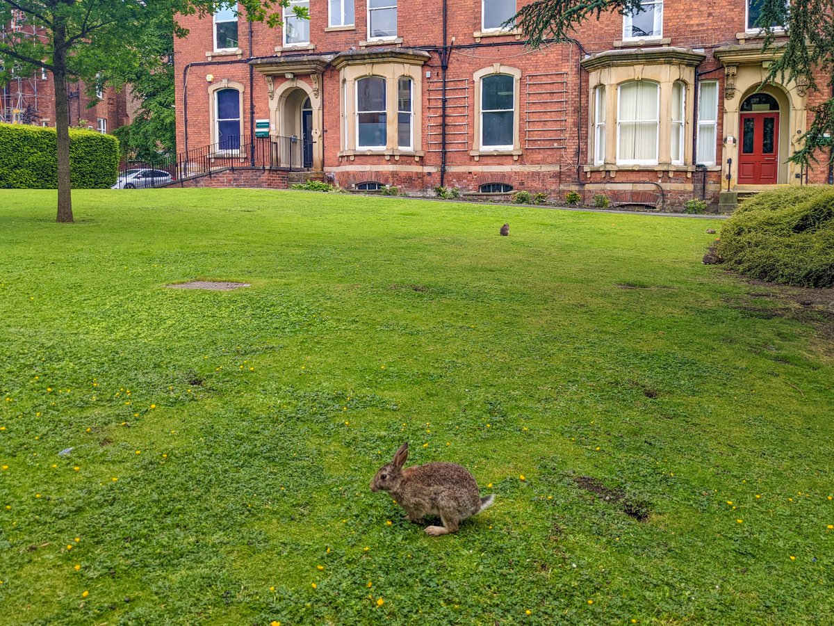 If you're hopping into the bank holiday break and are wondering what's open on campus - don't worry - we've got it all here for you. 
students.leeds.ac.uk/holidayinfo