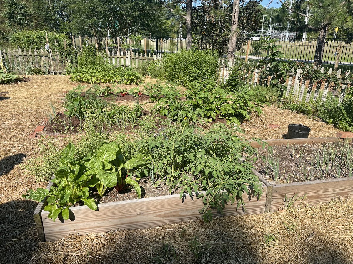 Melanie Johnson tweet media