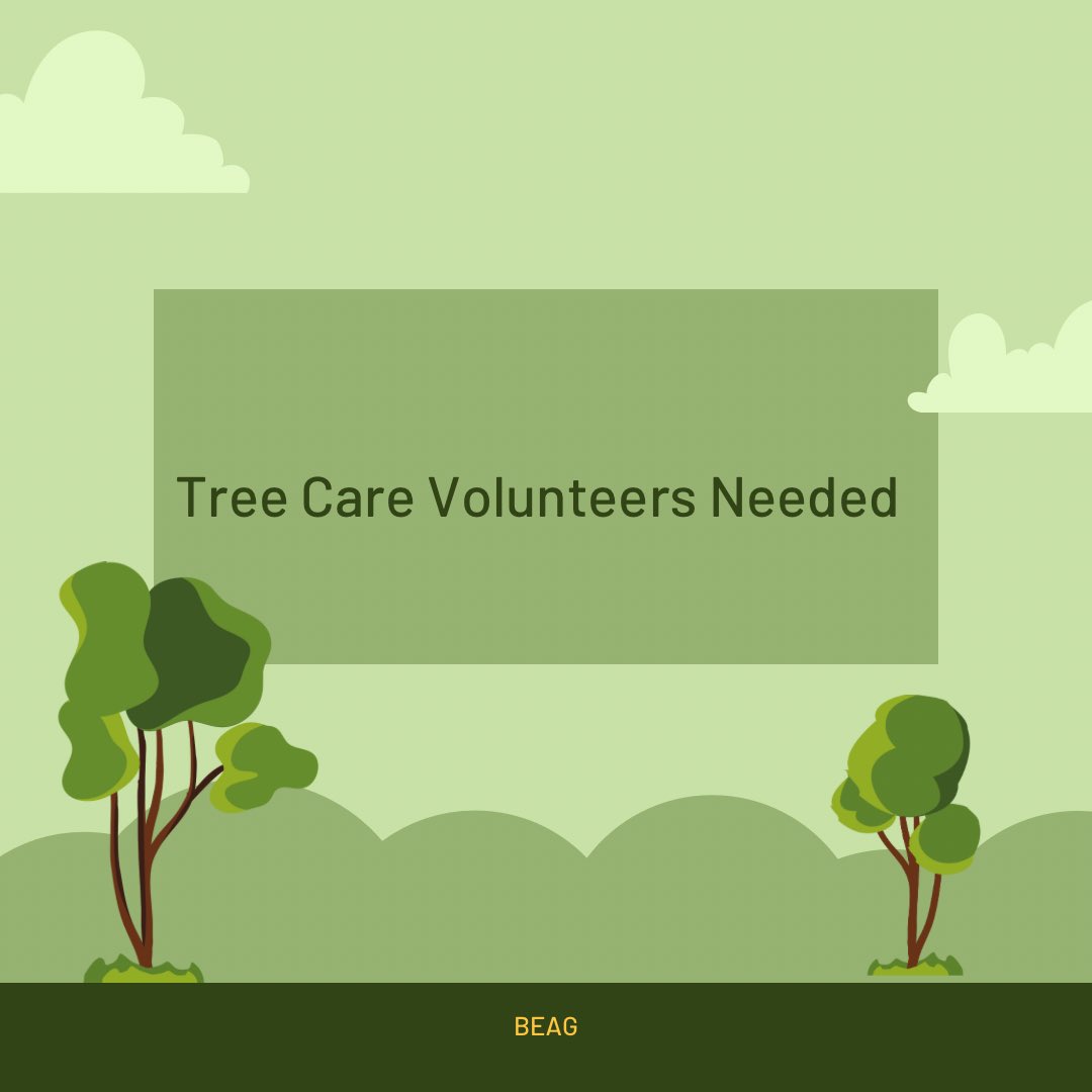 BandonBeag's tweet photo. BEAG members will be at the Skate Park at 7pm on Thursday 2nd. We will be clearing vegetation around the trees to give them a helping hand.  All welcome!

Please bring gloves, shears, mallet, and secateurs if you have them. https://t.co/xGVlvxVMCZ