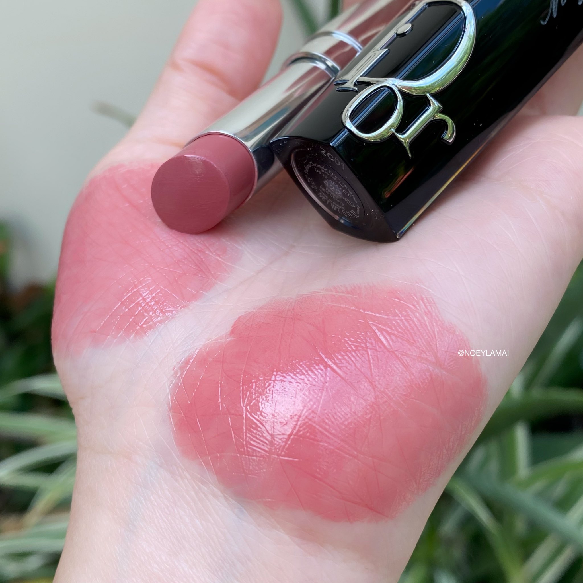 dior rose des vents lipstick