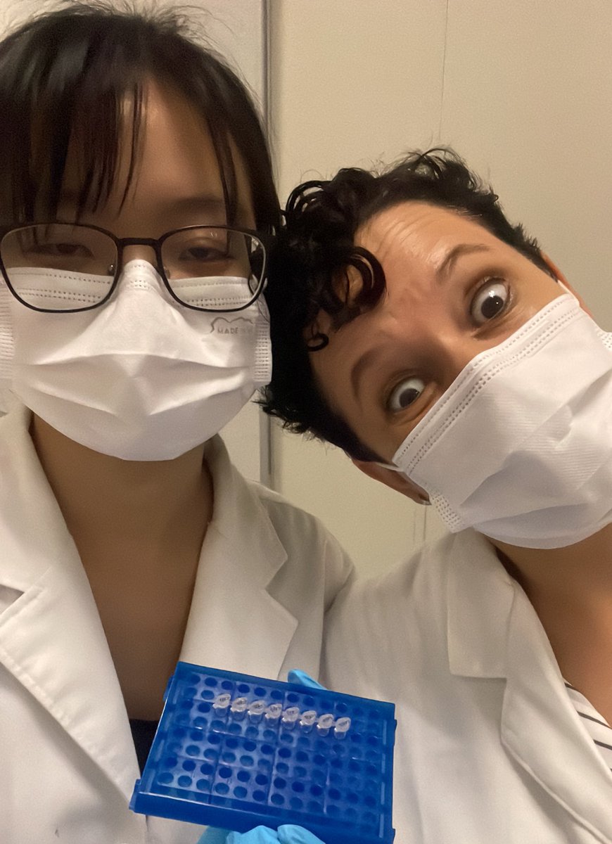 biotia99's tweet photo. didn’t realise how intense the pipetting would be ngl 🫥 #struggs https://t.co/9xyHy7f5tU