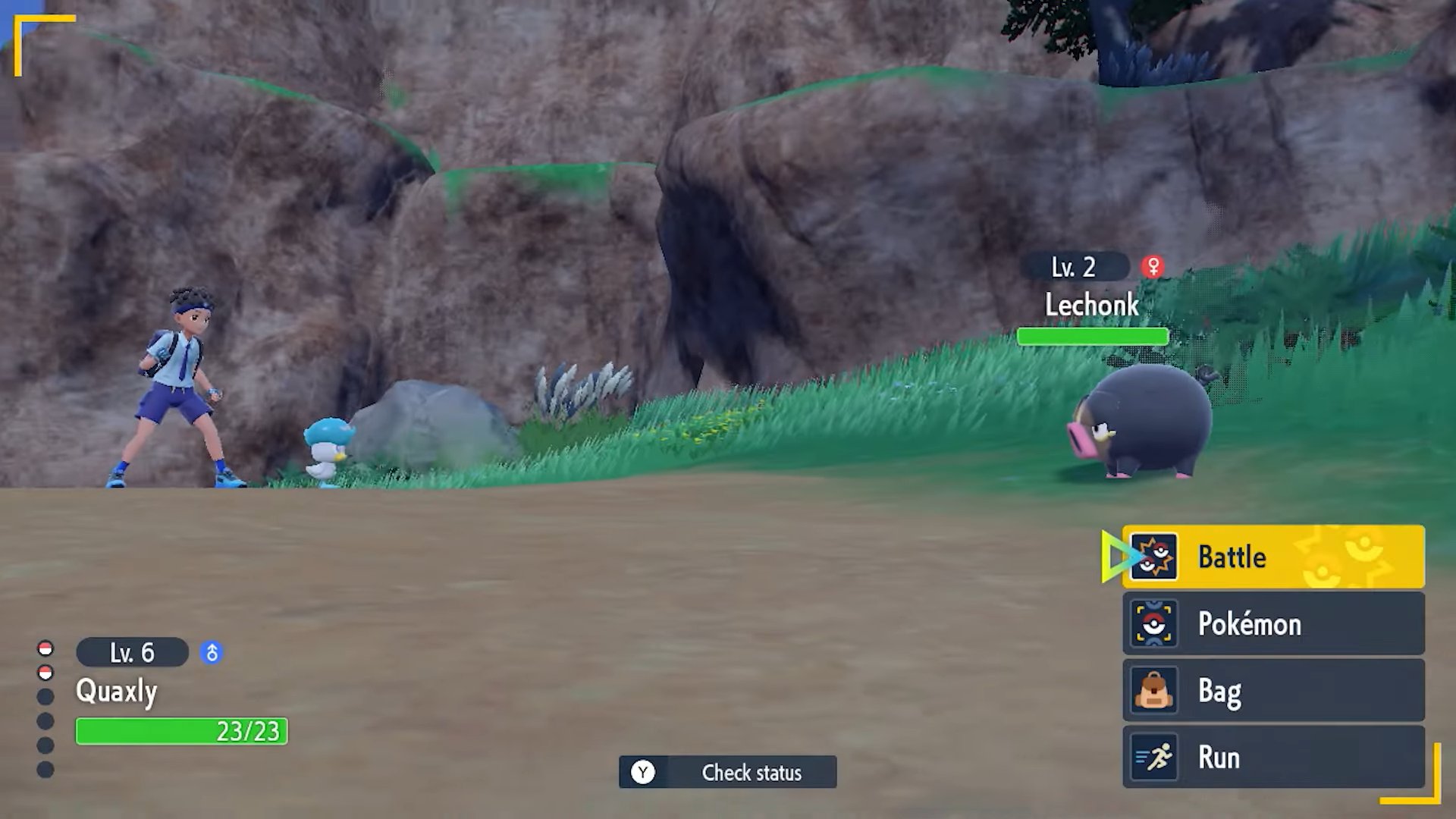 PLDH on X: Pokémon Sword and Shield PC interface, seen when