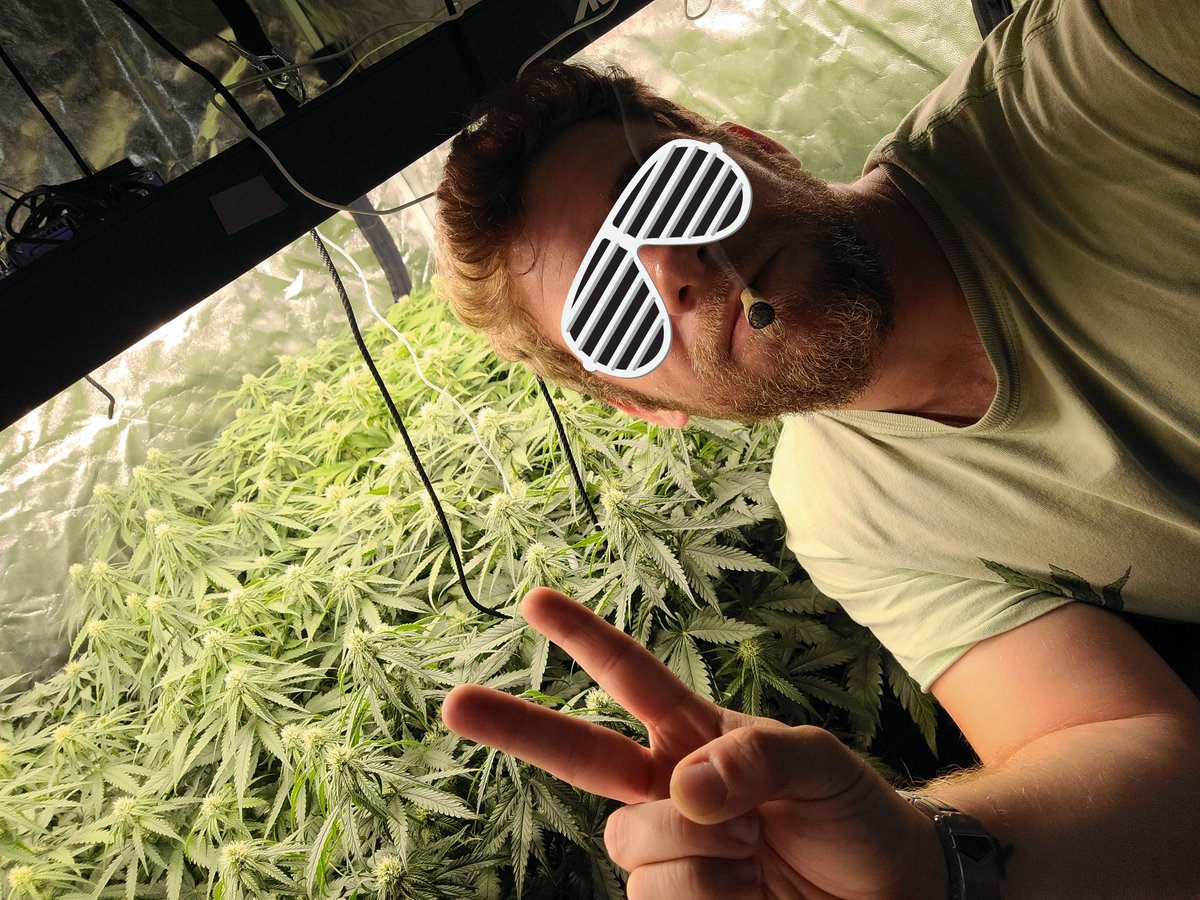 Cultivo y consumo. Es mi pasión y nadie me la podrá quitar #autocultivoobarbarie