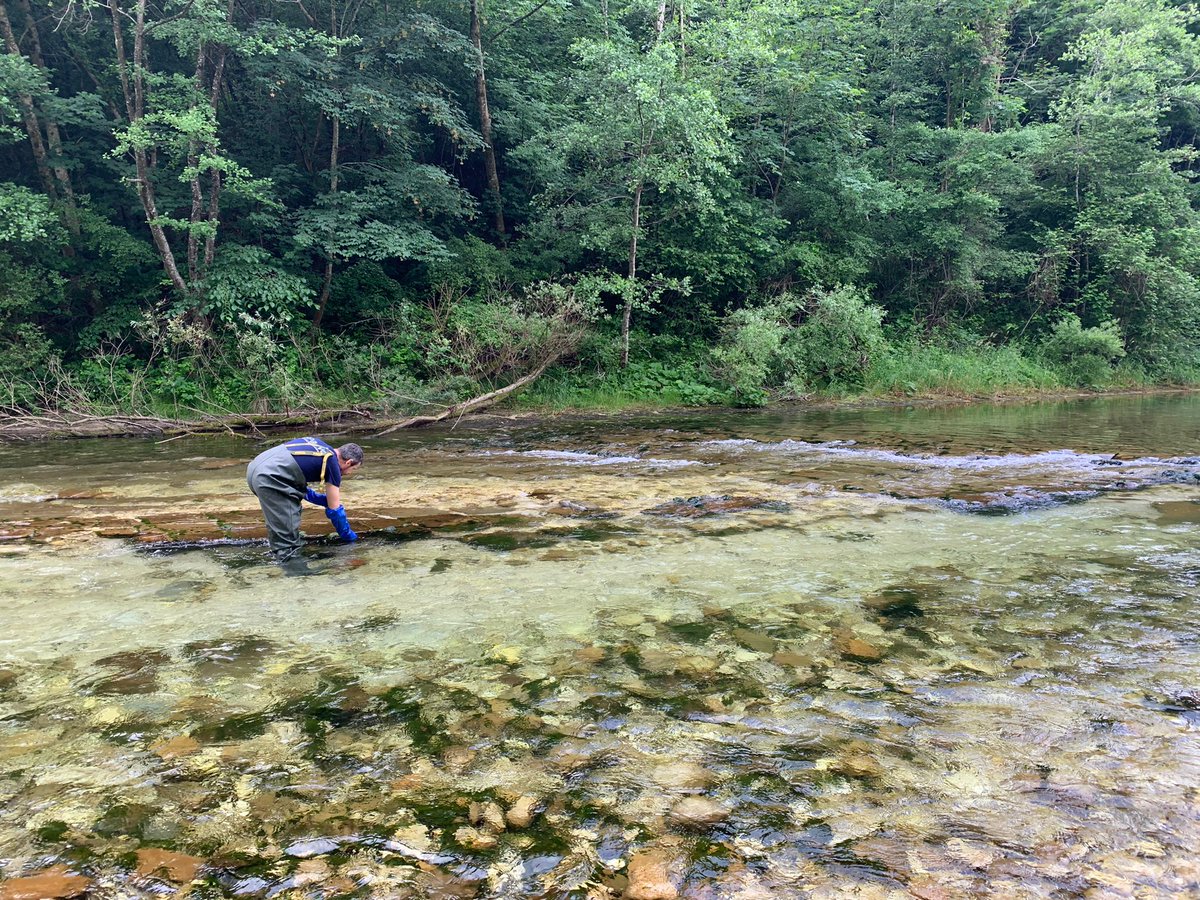 ARPAFVG's tweet photo. Oggi sul fiume Torre, nella zona di #Tarcento, per l'attività di campionamento delle macrofite per la classificazione della acque superficiali
#AllavoroConArpaFVG #ambiente #insiemeperlambiente #fvg #arpaFVG #monitoraggi #acqua https://t.co/S3p4ugbzoF