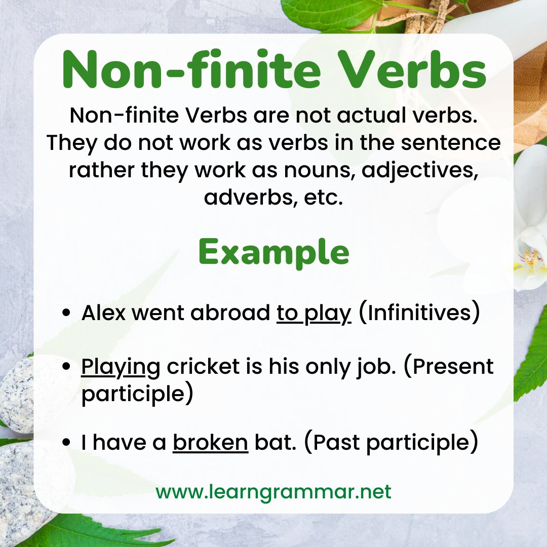 Finite Verbs: Explanation and Examples