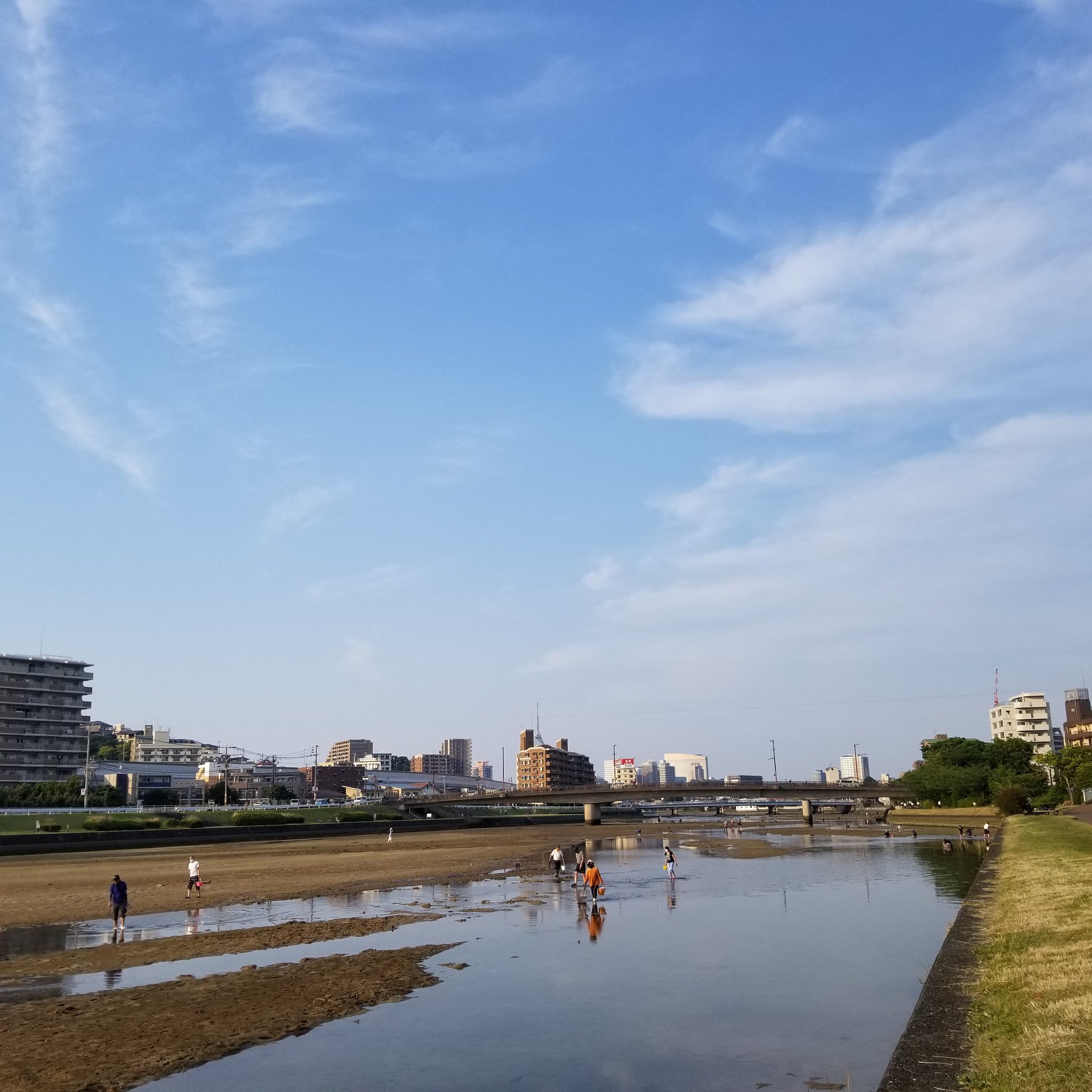 室見川 Muromigawaqrt Twitter