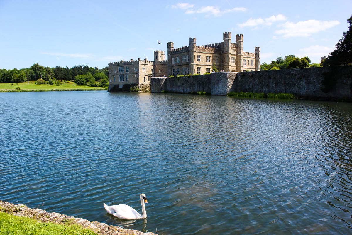 leedscastleuk's tweet photo. Hello June!
Another month of daydreaming beside the moat π¦’
#leedscastle #visitengland #kent #visitkent #nature #june #firstdayofthemonth #pinchpunchfirstdayofthemonth #wednesday https://t.co/LMXR5nDXvP