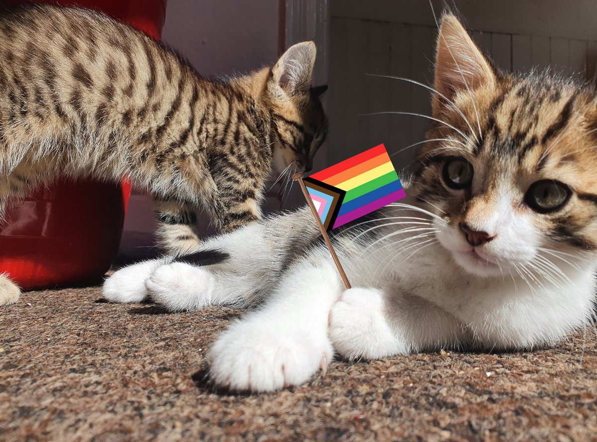 norb 🦦🚲🚋🏗️ tweet media