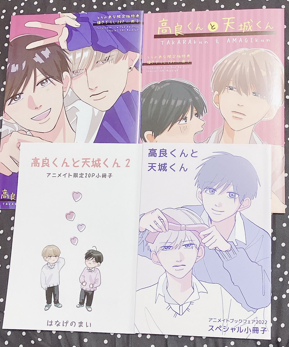 驚きの価格 特典のみ 高良くんと天城くん とらのあなフェア特典 小冊子