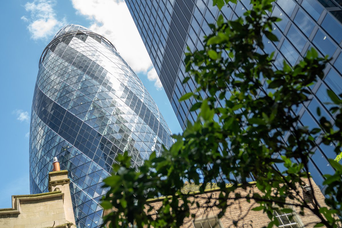 INTO Study tweet media