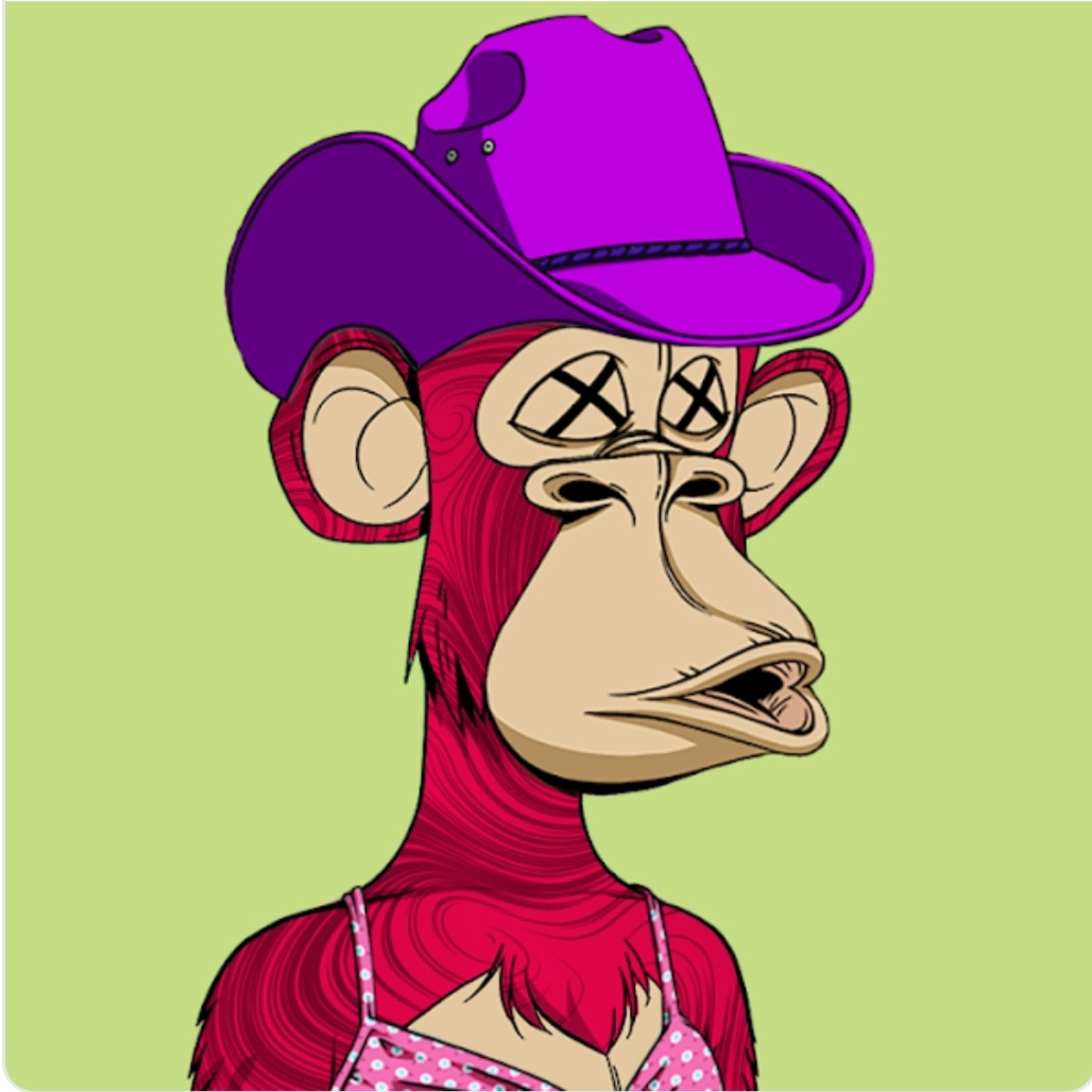 Jamie 💙💛🤍 tweet media