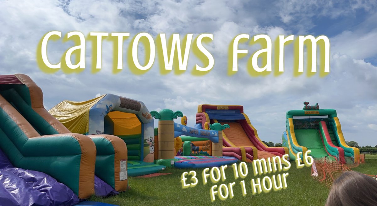 Fun House Bouncy Castles tweet media