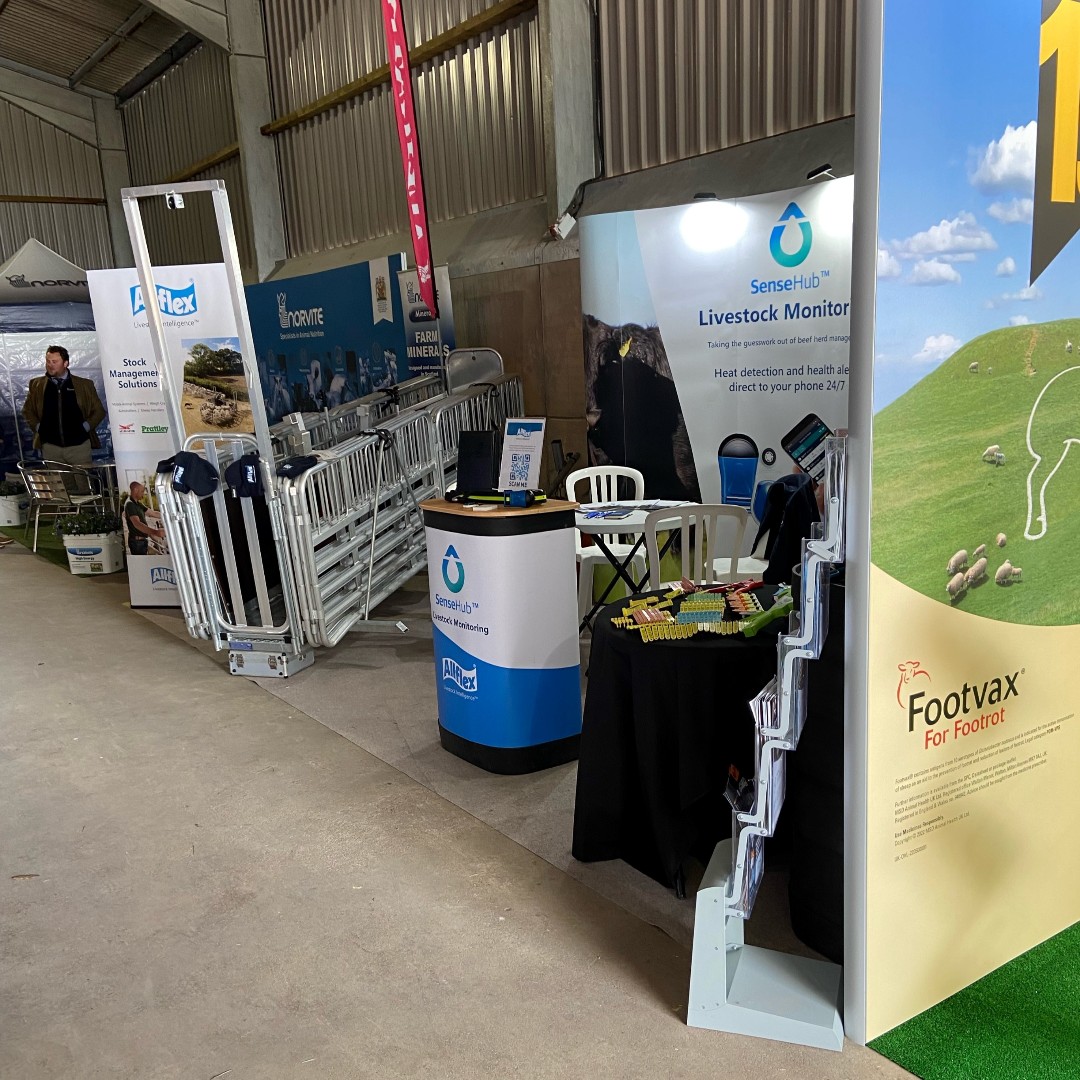 allflexuk's tweet photo. All smiles today at #ScotSheep https://t.co/4HkkfcmmGJ