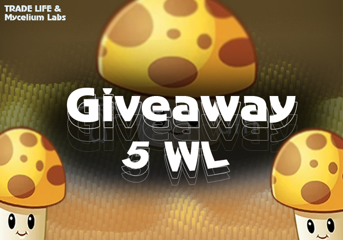 TradeLife1337's tweet photo. Hello cryptans! Today we have a giveaway with @MyceliumLabsNFT and we are giving away 5 WL.

🍄Prizes -5x WL
 
🔆To enter:
 
✔️Follow-
@MyceliumLabsNFT
@TradeLife1337
✔️ RT + Like
✔️ Join to discord https://t.co/2WyGnPaSyP

⏱️ 48 hours

#SolanaGiveaways #SolanaNFT  #SolanaNFTs https://t.co/ncIOI4Ck6u